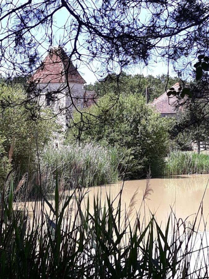 فندق Le Manoir De Pierre Levee, The Originals Collection Tournon-Saint-Martin المظهر الخارجي الصورة