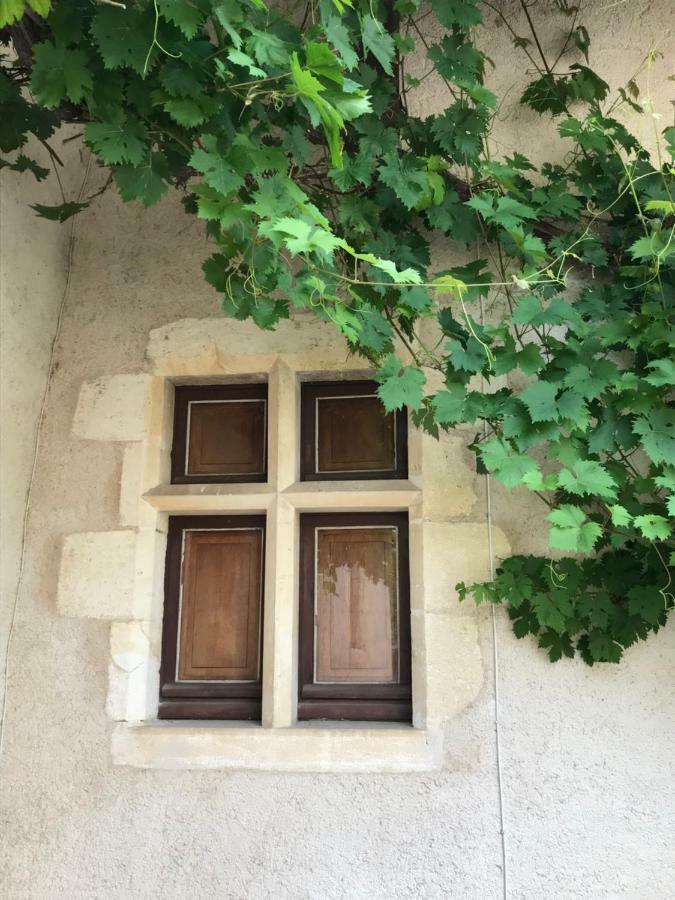فندق Le Manoir De Pierre Levee, The Originals Collection Tournon-Saint-Martin المظهر الخارجي الصورة